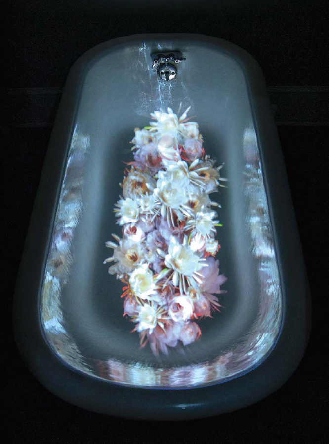 Sleepwalkers (Night Blooming Cereus), 2011. HD video projection, clawfoot tub, and water, view of installation at The Pearl, New Orleans. 