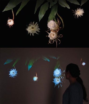 Dreamcatchers (Night Blooming Cereus), 2013. Interactive HD video, computer, c.amera, and IR light, approx. 4 x 8ft. 