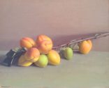 Apricot Branch