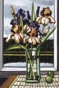 Irises I - Grassy Lake