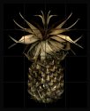 Pineapple (brown)