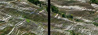 Rice Terraces #3, Western Yunnan Province, China