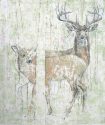 Deer (15002)