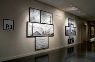 Prospect.1, New Orleans Museum of Art (Installation View)